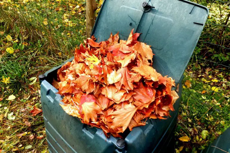 How Often to Turn a Compost Tumbler