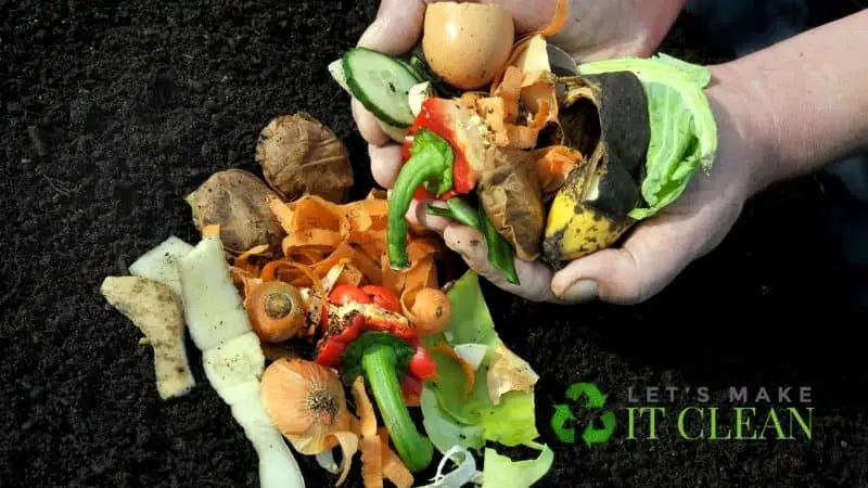 Composting In The City