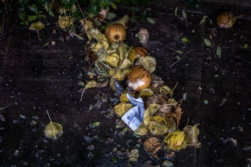 Soggy Compost Pile