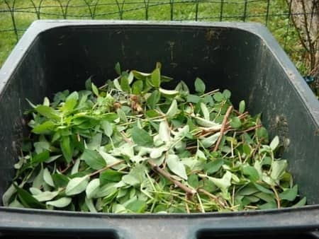 Green Waste In A Bin