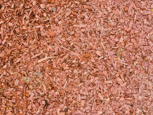 Wood Chips