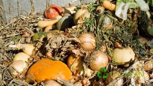 Backyard Compost Pile