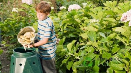 Boy Empty Kitchen Compost