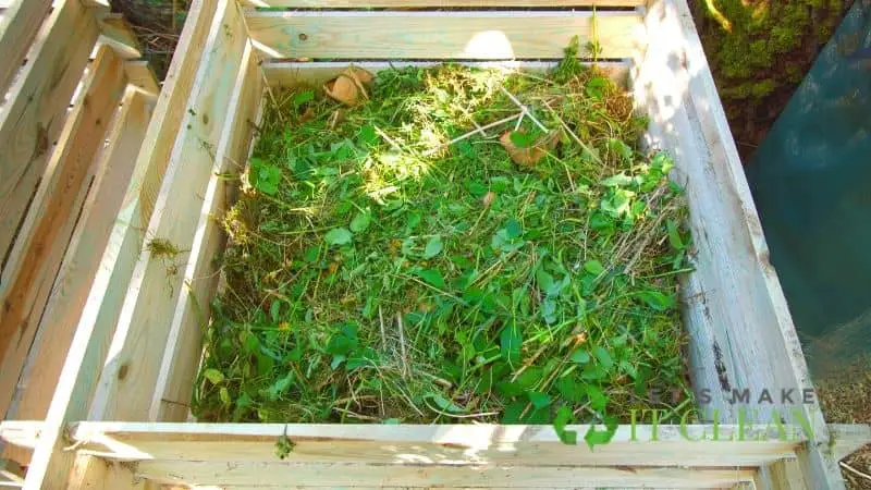 Weeds In Compost Bin