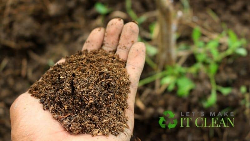 Compost in Hands