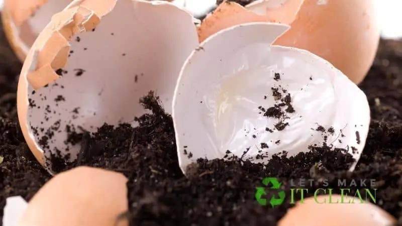 Eggshells In Compost