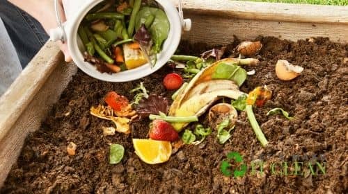 Food Scraps In Compost Pile