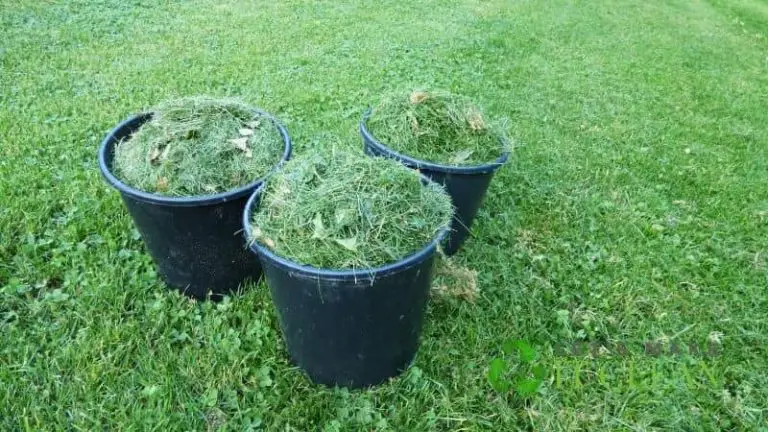 composting grass clippings
