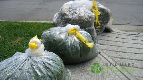 Garbage Bags Full Of Grass Clippings