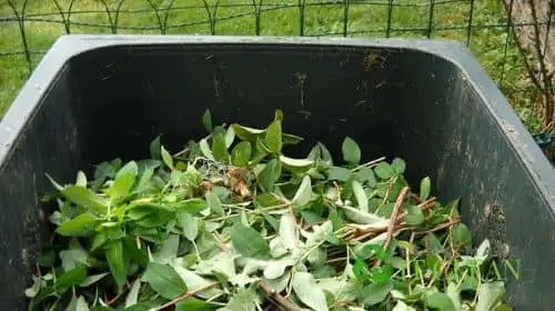 Green Waste Composting Recycling