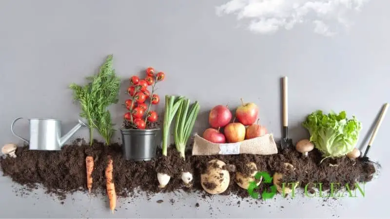 Vegetables And Compost