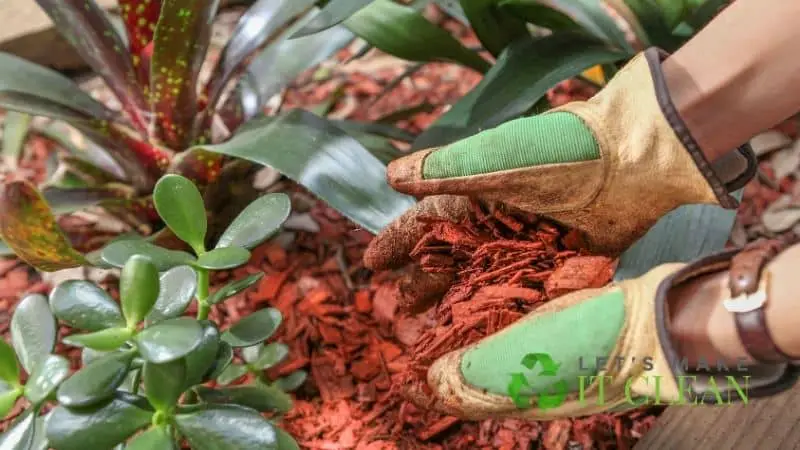 Mulch Red Timber Woodchip