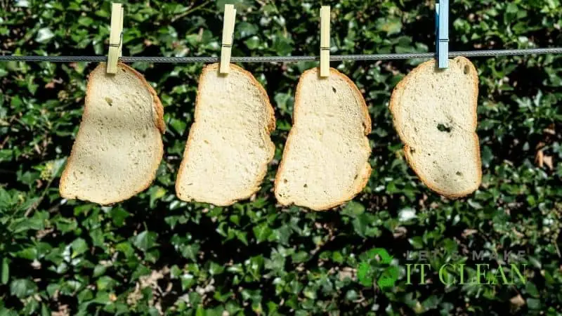 Bread For Compost