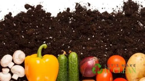Vegetables In Soil