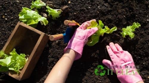 Woman Gardening